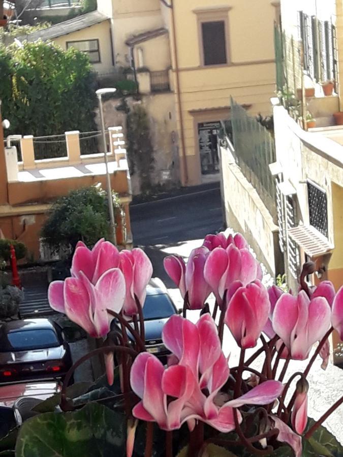 San Pietro Leisure And Luxury Hotel Rome Luaran gambar